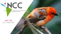 Noticiero Científico y Cultural Iberoamericano, emisión 123. 07 al 14 de abril 2019.