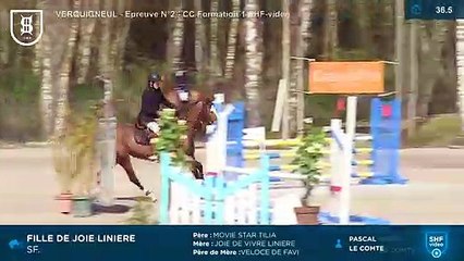 20190401 verquigneul filledejoie01