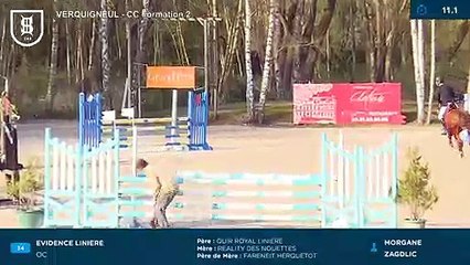 20190401 verquigneul evidence