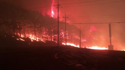 고성 산불로 1명 사망·250ha 잿더미 / YTN