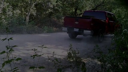 Trail Camera Catches  ( STOVE DUMPER )