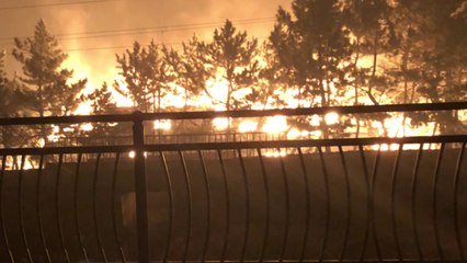 강릉시 옥계면 주민 "매연이 시야 뒤덮어 아수라장...휴게소 전소" / YTN