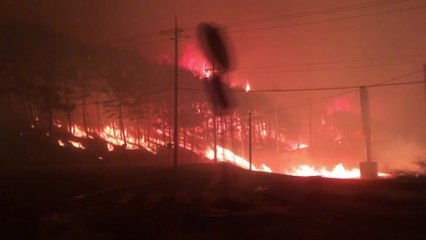 고성 산불로 1명 사망·250ha 잿더미 / YTN