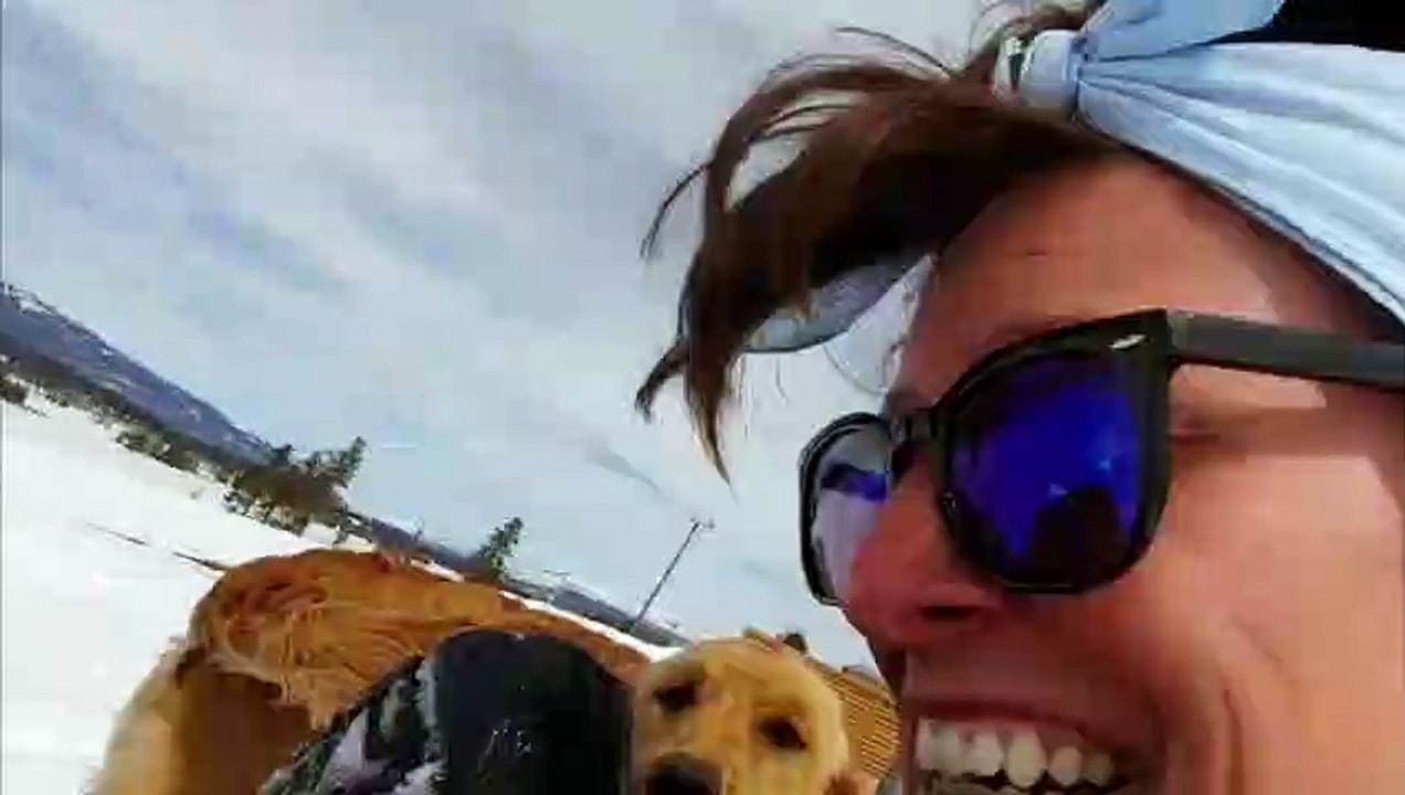 Doggo Joins in Snow Tubing Fun
