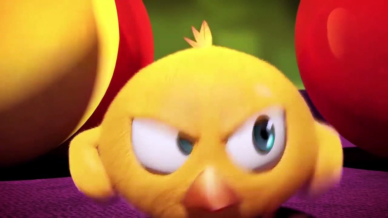 Where is Chicky ? Funny Chicky #489 | Chicky Français Dessin Animé Pour Enfant 2018