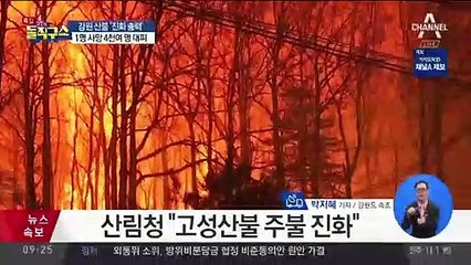 고성 산불, 속초까지 2시간…“마을 빨갛게 변했다”