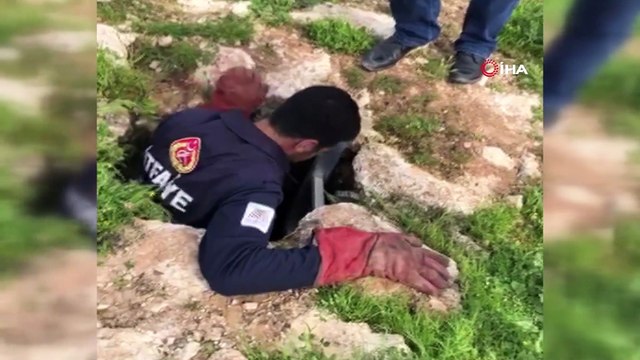 Kuyuda mahsur kalan yavru köpeği itfaiye ekipleri kurtardı