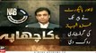 Do not arrest Hamza Shehbaz till Monday, Lahore high court ordered NAB