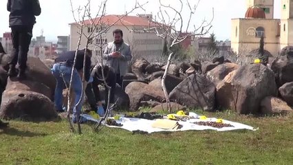 Şanlıurfa'da Tarlada Mühimmat Bulundu