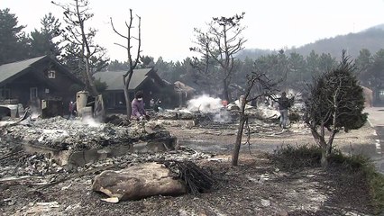 강릉 옥계 산불 확산...피해 속출 / YTN