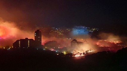 고성 산불로 250ha 소실...정부, '재난사태' 선포 / YTN