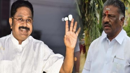 Periya Kulam Consituency: பெரியகுளம் களநிலவரம்..யாருக்கு வாய்ப்பு கிடைக்கும்?- வீடியோ