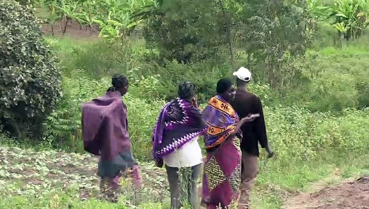 Rwanda : la source de la réconciliation entre Hutu et Tutsi