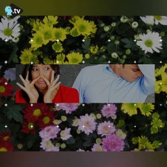 إليك ما لا تعرفه عن نبتة الأقحوان!