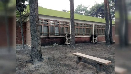 고성·속초 모든 학교 등 52개교 휴업 / YTN