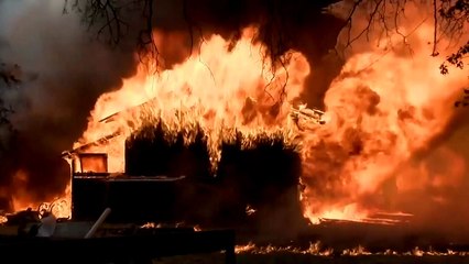 강풍 타고 확산...작년 美 캘리포니아 산불과 '닮은꼴' / YTN