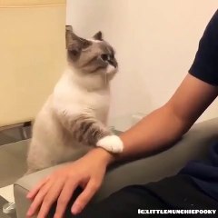 my boss is keeping an eye of me!