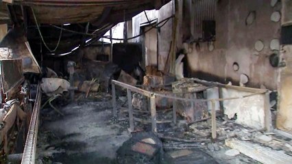 바람에 날린 불씨에 잿더미 된 산불 현장 / YTN