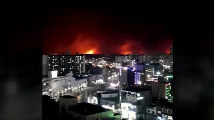 '강원도 산불' 발화부터 진화까지 상황 정리 / YTN