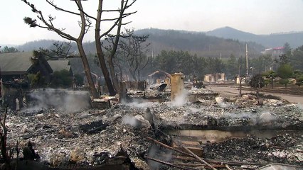 '재난사태' 선포...사상 최악의 강원 산불 / YTN