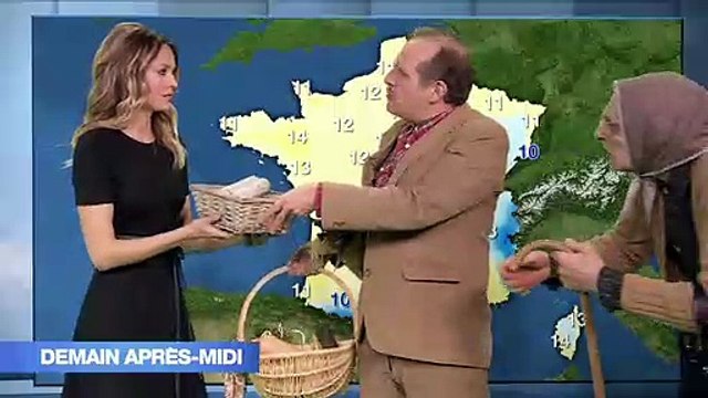 Quand Les Bodin's déambulent dans les couloirs de M6 et croisent Julien Courbet, Stéphane Plaza et Ophélie Meunier - VIDEO