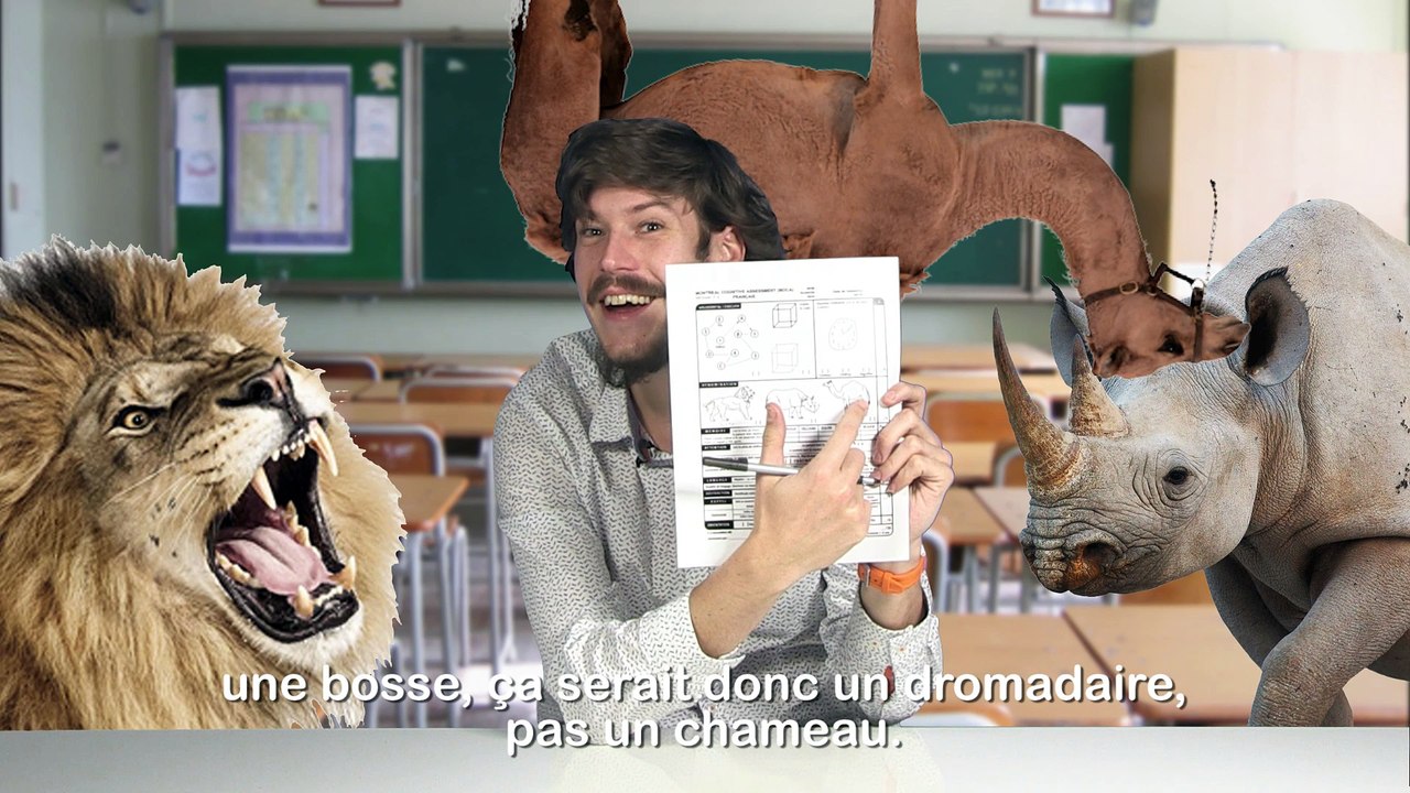 Test cognitif de Montréal