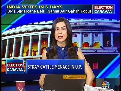 Election Caravan: UP farmers want the govt to resolve the problem of stray cattle feeding on their harvest