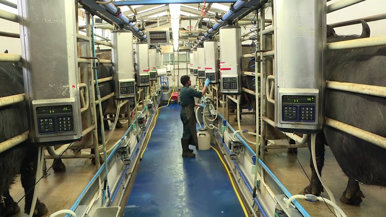 Brexit beflügelt britische Lebensmittel-Erzeuger