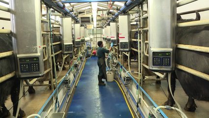 Brexit beflügelt britische Lebensmittel-Erzeuger