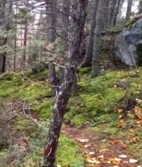 Mystery of Nature in Rila Mountain - Bulgaria