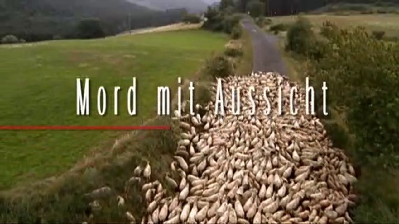 Mord mit Aussicht Staffel 1 Folge 4 - Marienfeuer