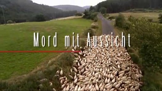 Mord Mit Aussicht Folge 5