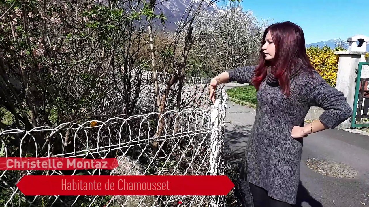 Chamousset : Une dizaine de chats disparaissent mystérieusement en un mois