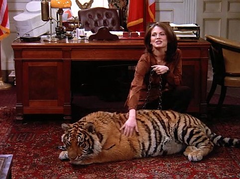 Spin City 222 - The Lady Or The Tiger