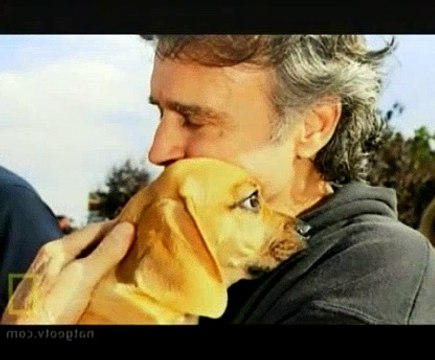 Dog Whisperer S05E15 Inside Puppy Mills