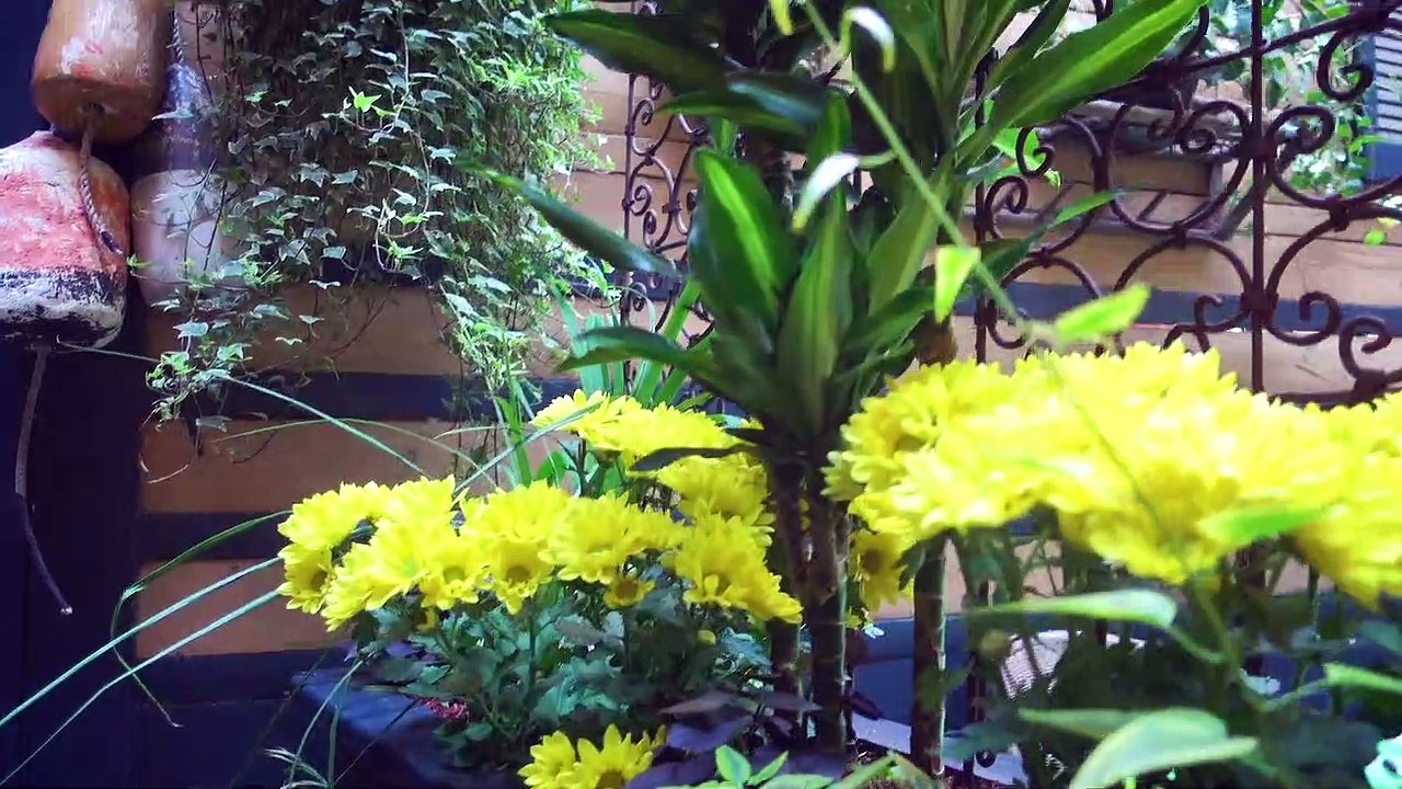 Métro présente ses terrasses préférées : centre-ville