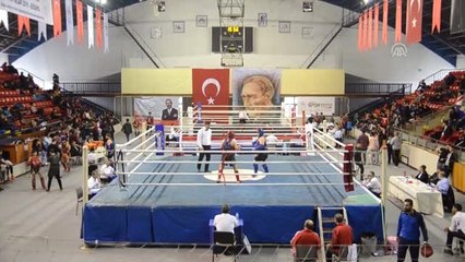 Okullar Arası Yıldızlar Muay Thai Şampiyonası