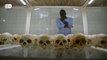As marcas do genocídio em Ruanda, 25 anos depois