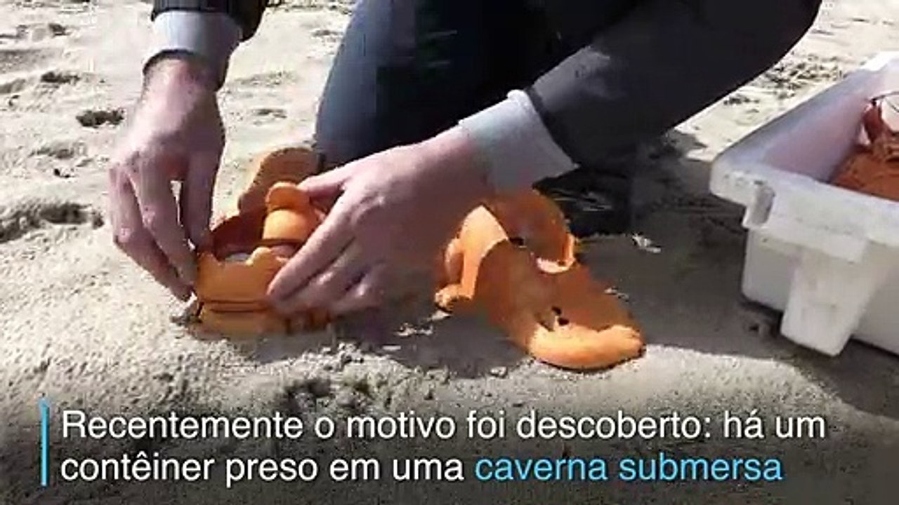Um gato ao telefone