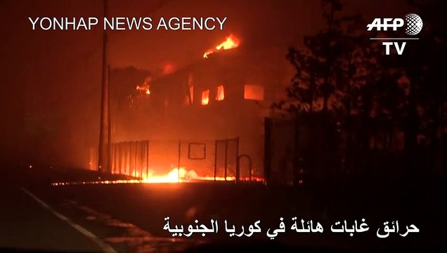 حرائق غابات هائلة في كوريا الجنوبية