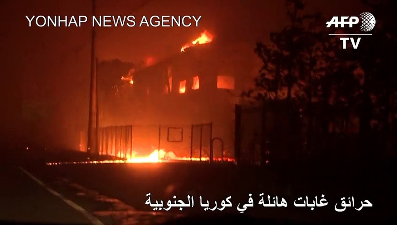 حرائق غابات هائلة في كوريا الجنوبية