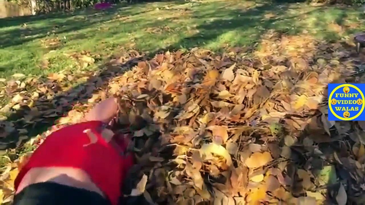 FUNNY VIDEO ep 63