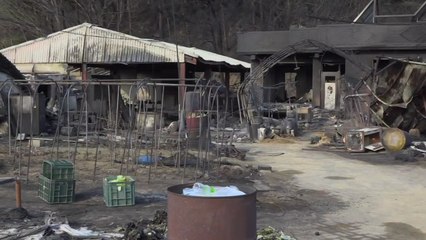 화마가 휩쓴 마을...피해 조사·복구 예정 / YTN