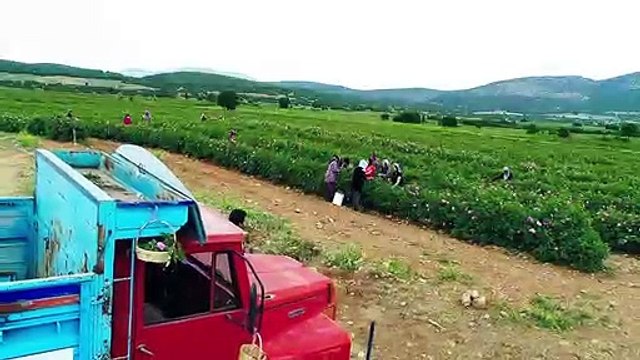 Ayşe Dinçer - Kekliği Düz Ovada Avlarlar