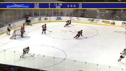 ECHL Greenville Swamp Rabbits 5 at Norfolk Admirals 2