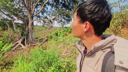 Bí ẩn CÂY ĐA BIẾT KHÓC ở CHÙA MA BỬU SƠN, Lâm Hà | Cây đa thần tập 2 [ phần 1 ]