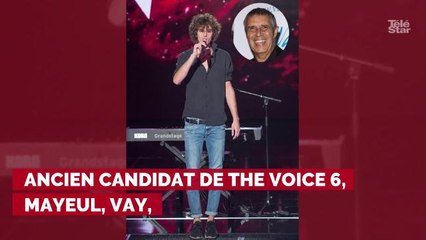The Voice : voici les équipes complètes de la saison 8
