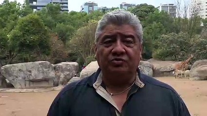 El zoo de Ciudad de México presume a su jirafa recién nacida