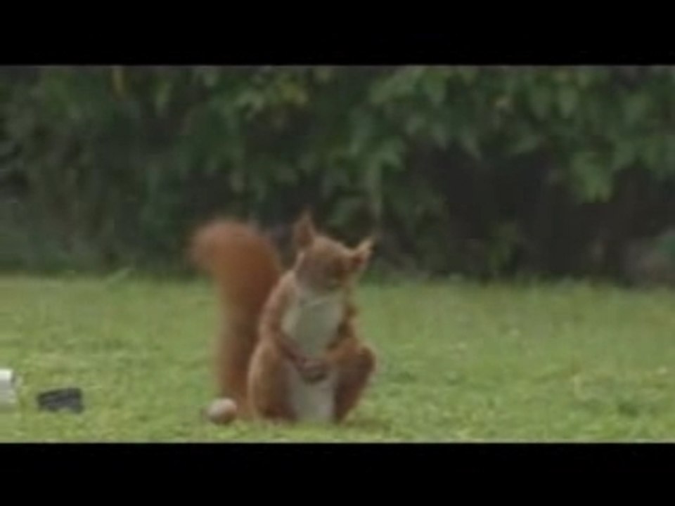 PUB Carlsberg SPORT