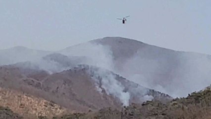 경북 영천에서도 산불 잇따라 / YTN